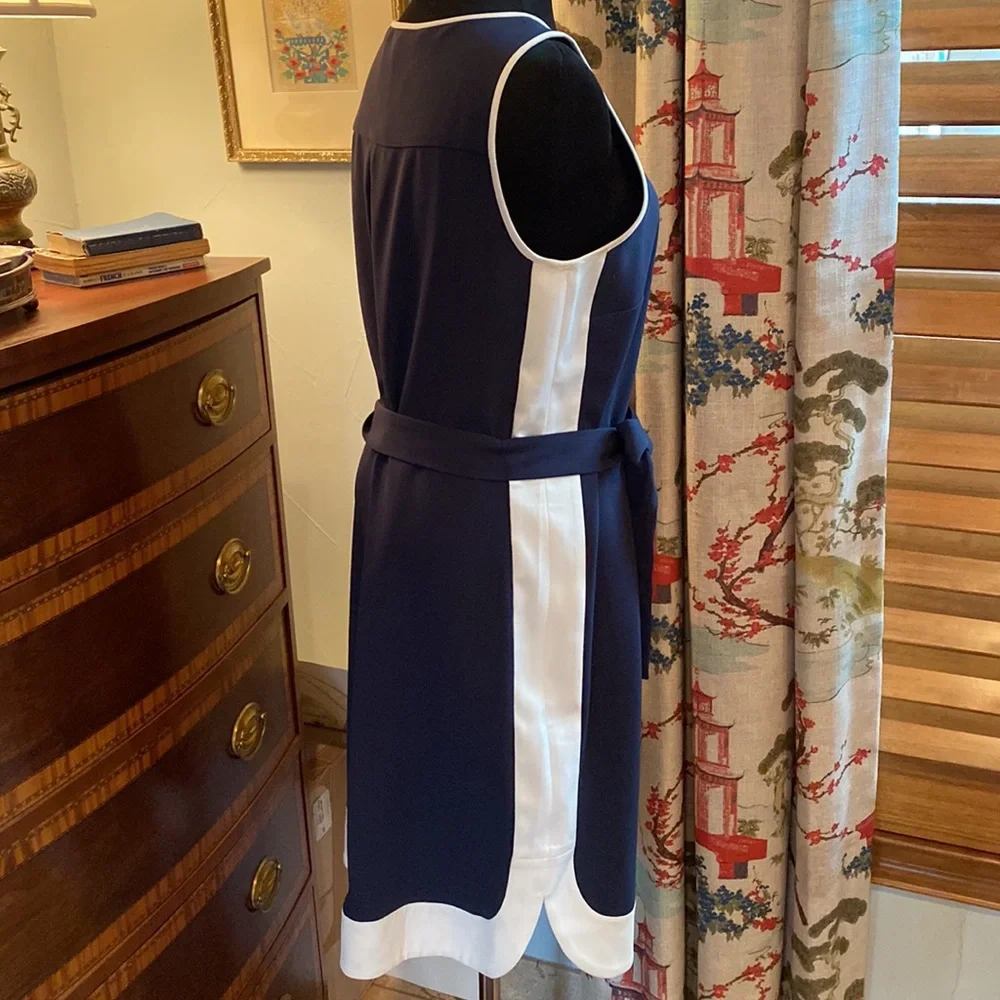 Ann Taylor Large Sleeveless Dress - Picture 3 of 5